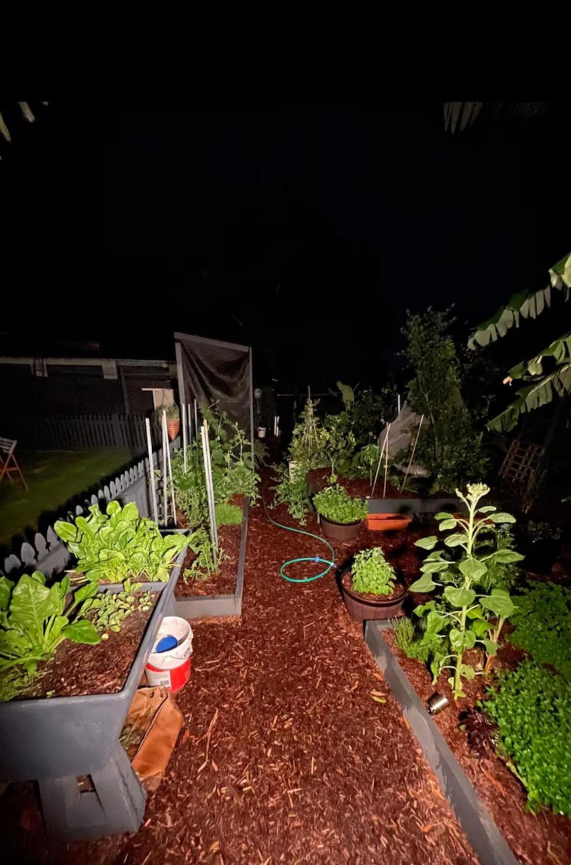 Hotel Bee House Dinmore Esterno foto