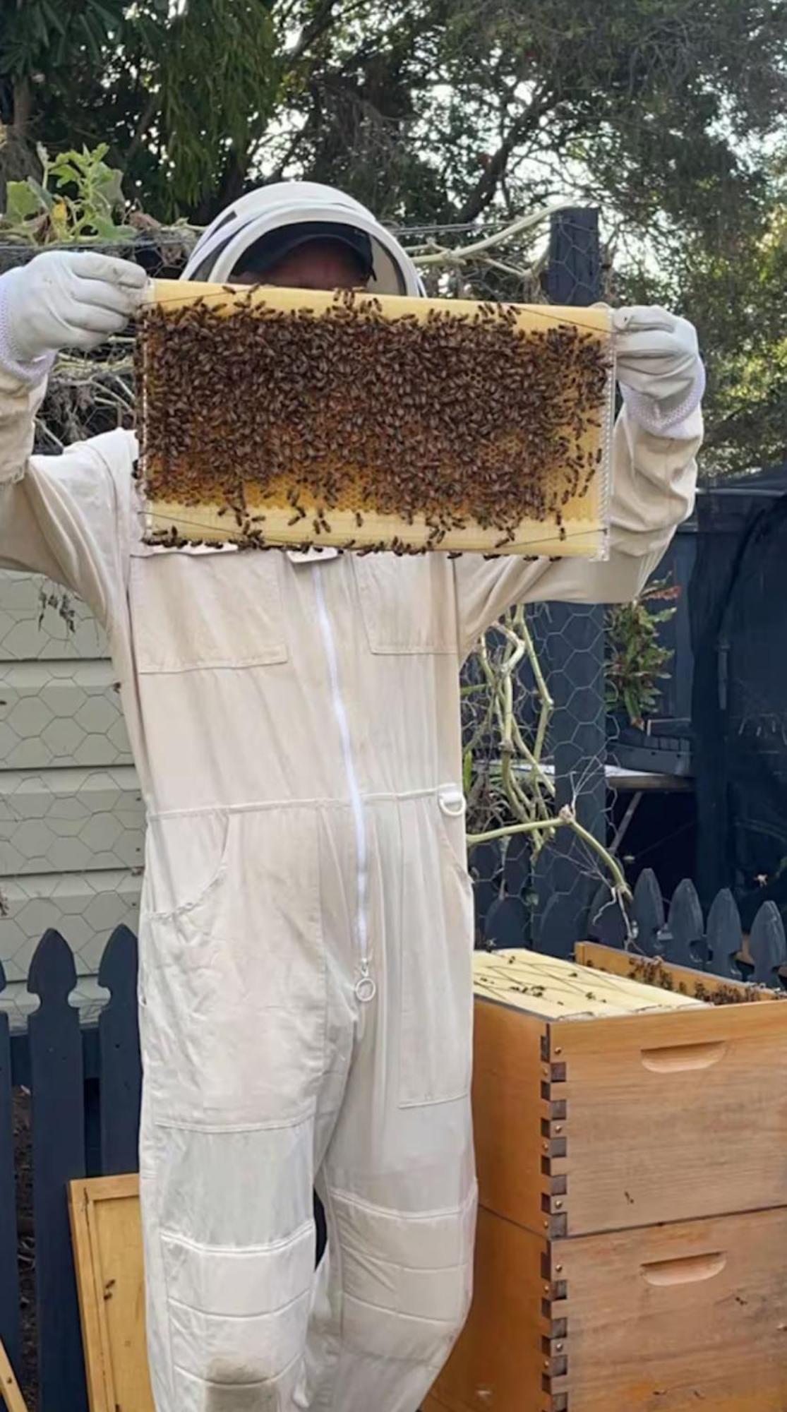 Hotel Bee House Dinmore Esterno foto